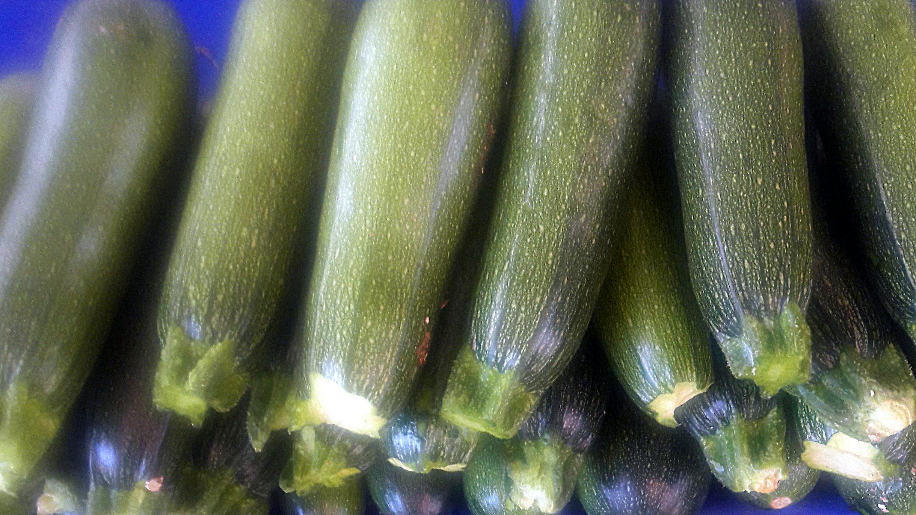 Free stock photo of zucchini