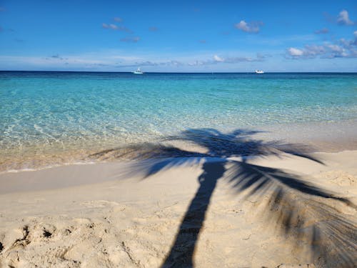 Scenic View of a White Sand Beach