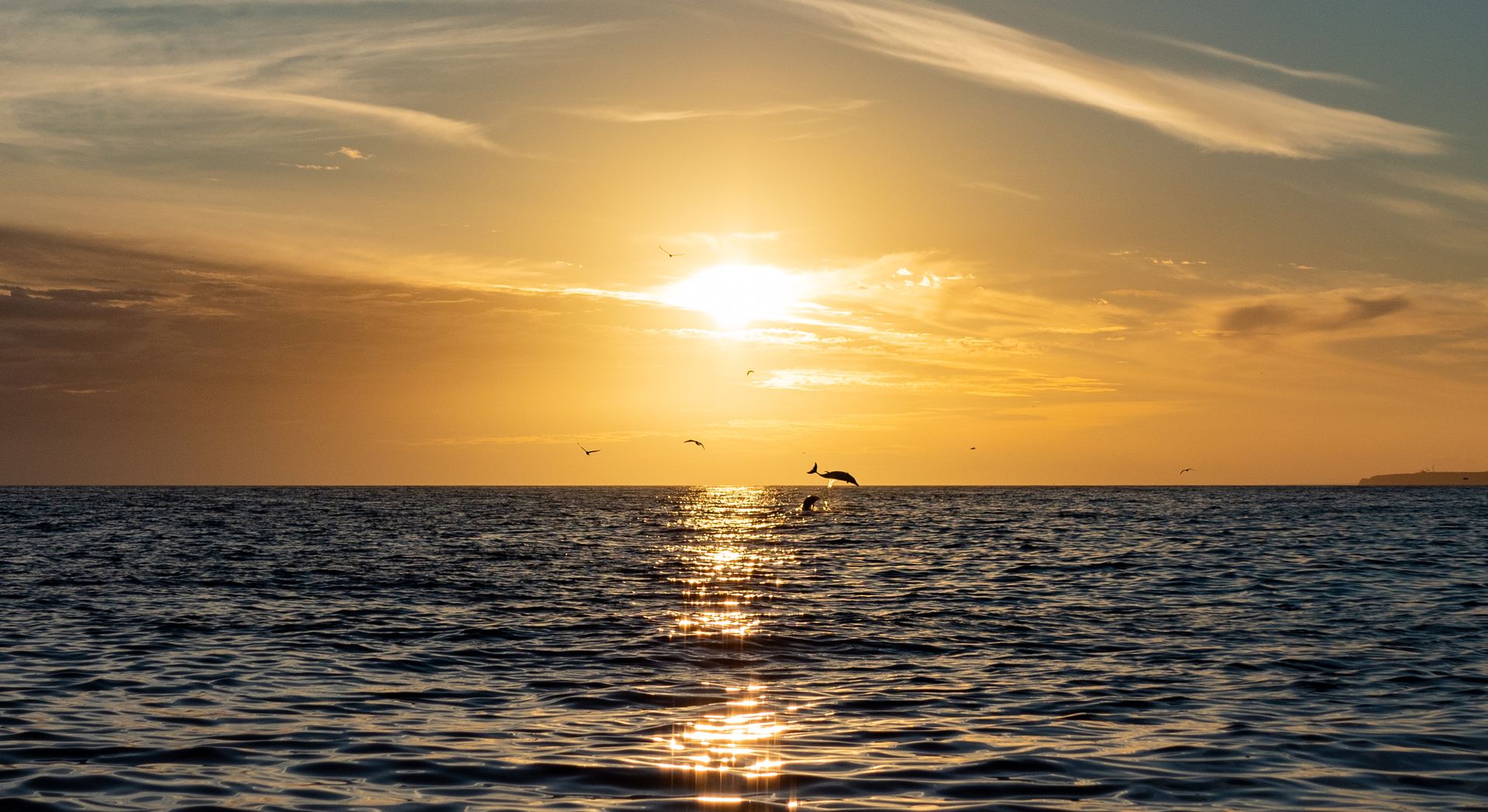 Golden sunrise casting reflections on the sea in Portimão, Portugal with flying birds.