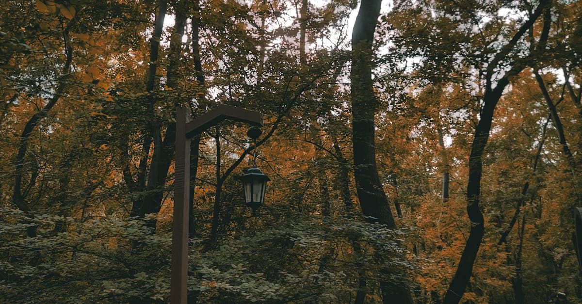 changing environment productivity