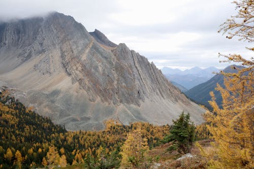 Landscape of Mountains and Colorful Trees in Autumn 