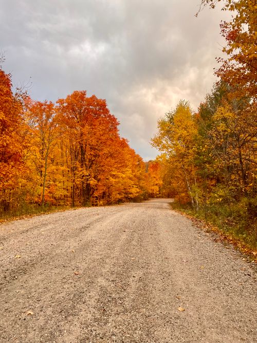 Free A picturesque gravel road surrounded by vibrant autumn foliage and cloudy skies. Stock Photo