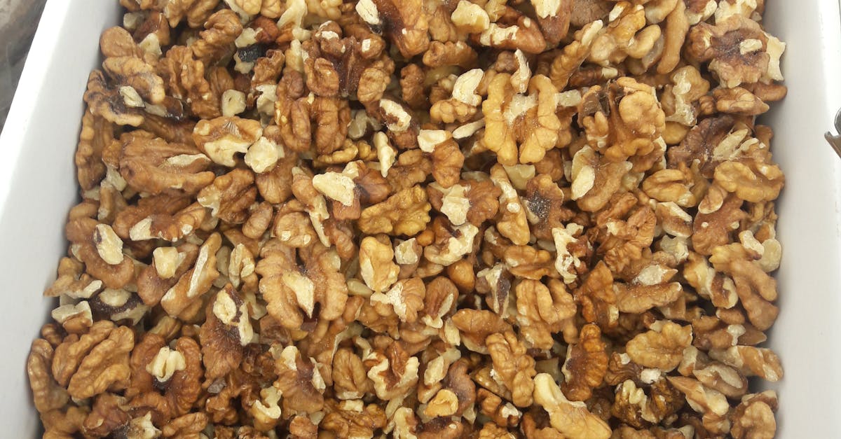 Free stock photo of walnuts