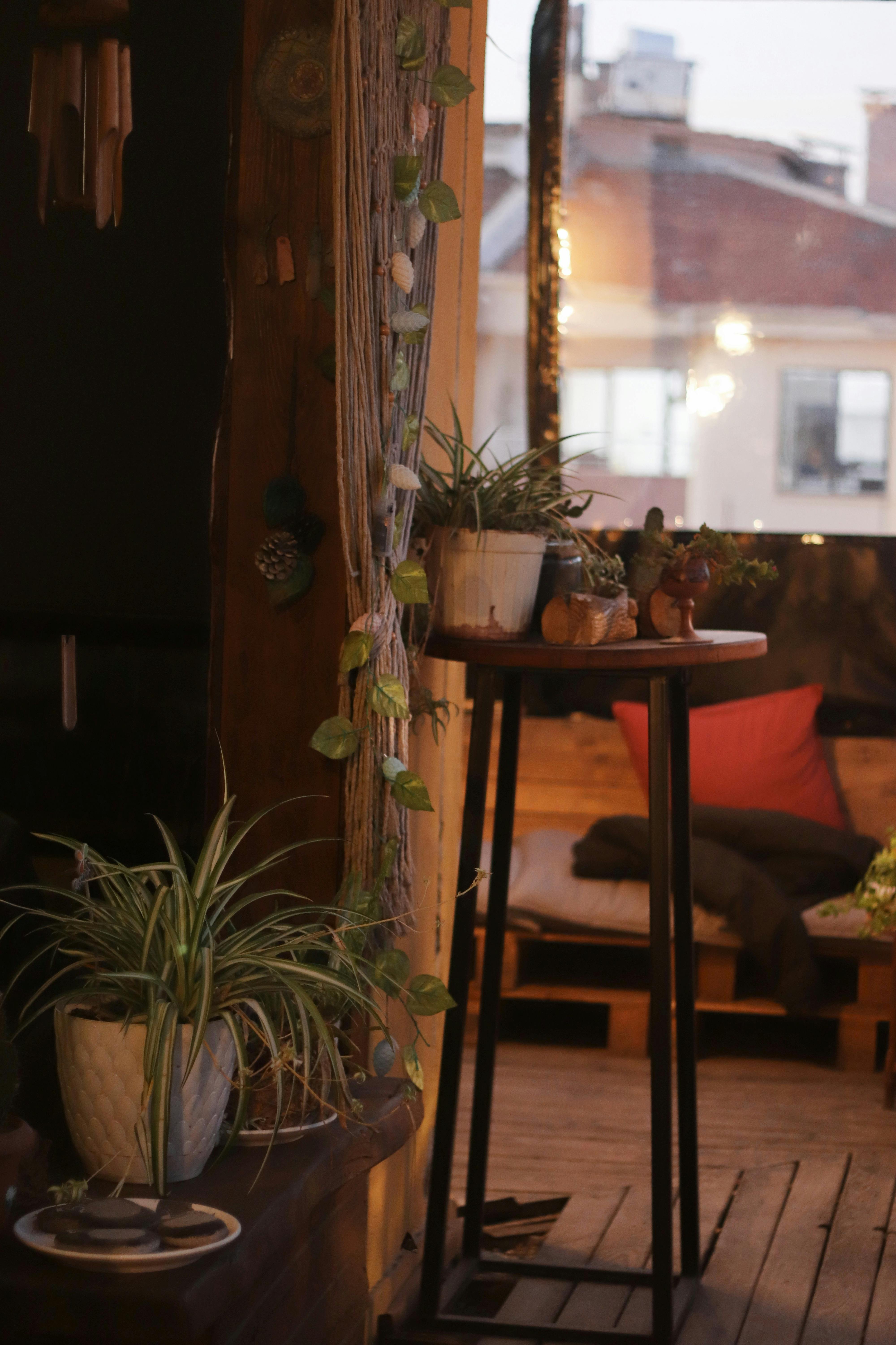 Warm interior of a cozy café with potted plants and soft lighting creating a relaxed atmosphere.