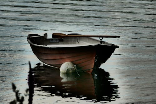 Free stock photo of rowboat