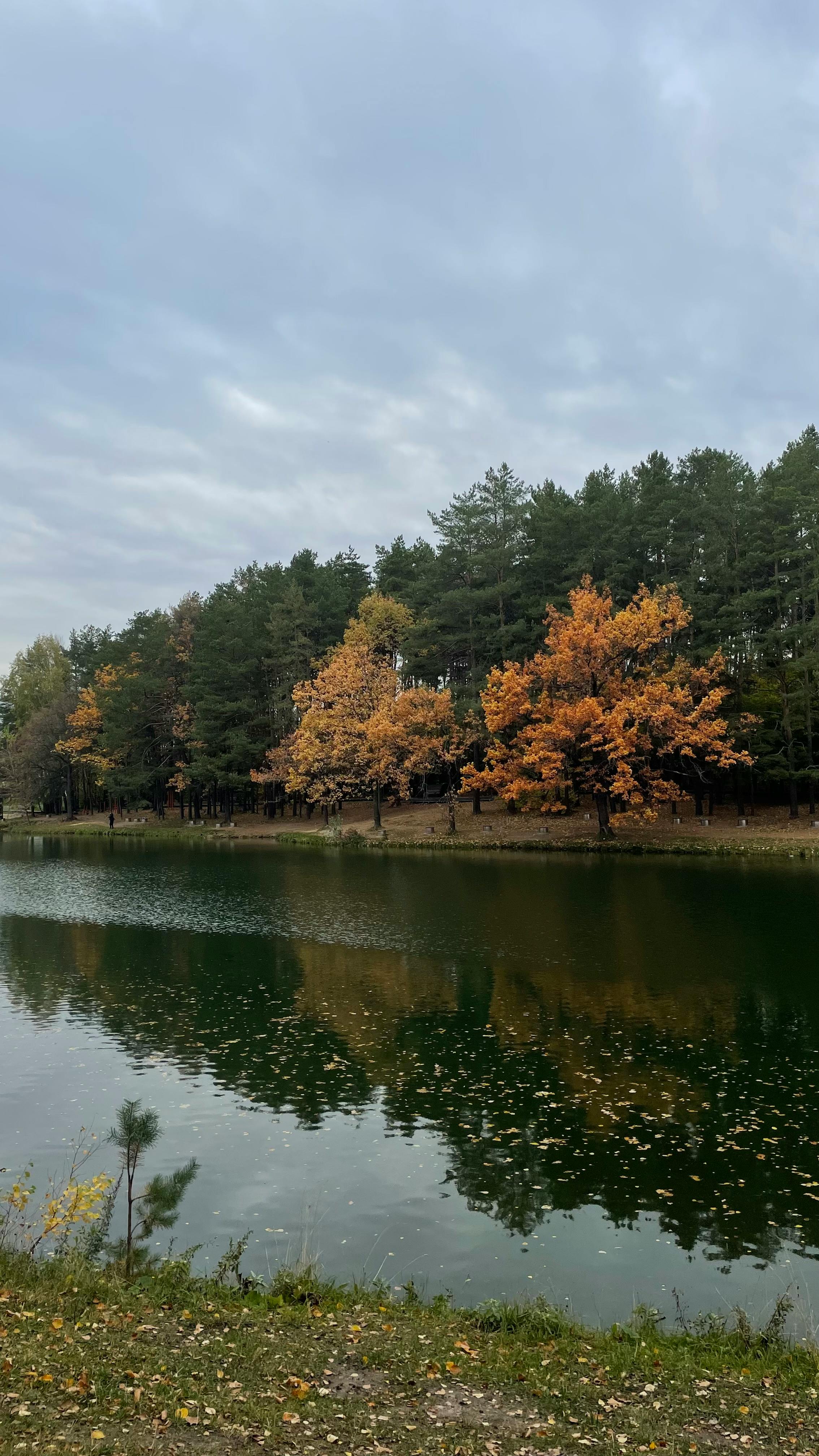 cloudy sky over trees and a lake