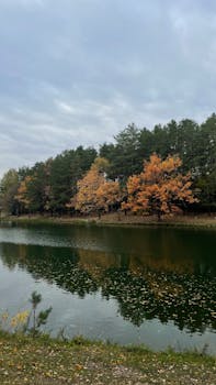 Serene autumn landscape with a lake reflecting colorful trees under a cloudy sky.