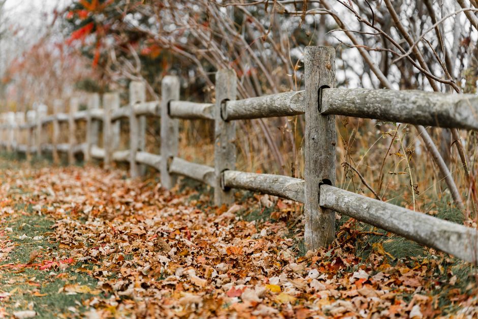 Charming autumn scene of a rustic wooden fence lined with colorful fallen leaves.