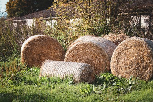 Fotobanka s bezplatnými fotkami na tému balíky, poľnohospodárska pôda, poľnohospodárskej pôdy