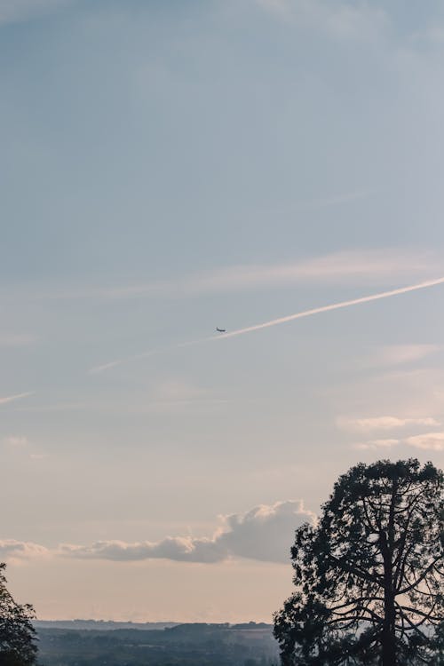 Plane Flying in Sky on Sunset