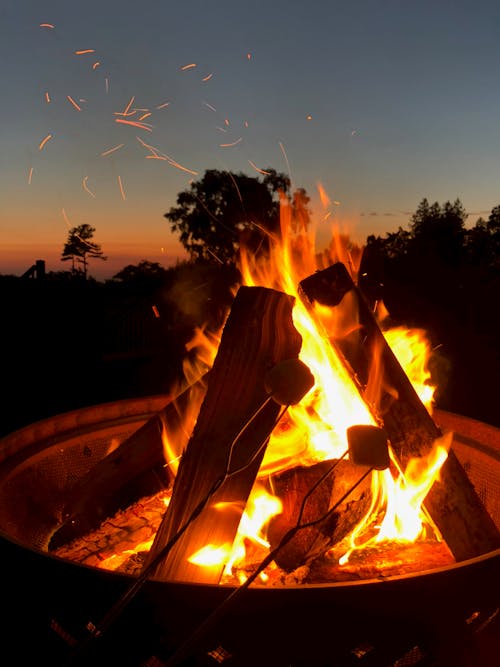 Photographie De Feu De Joie éclairé