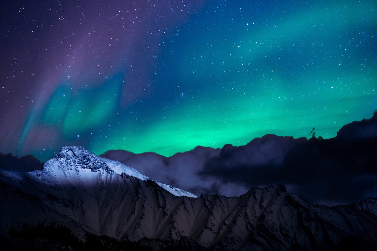Person standing under a starry night sky in nature