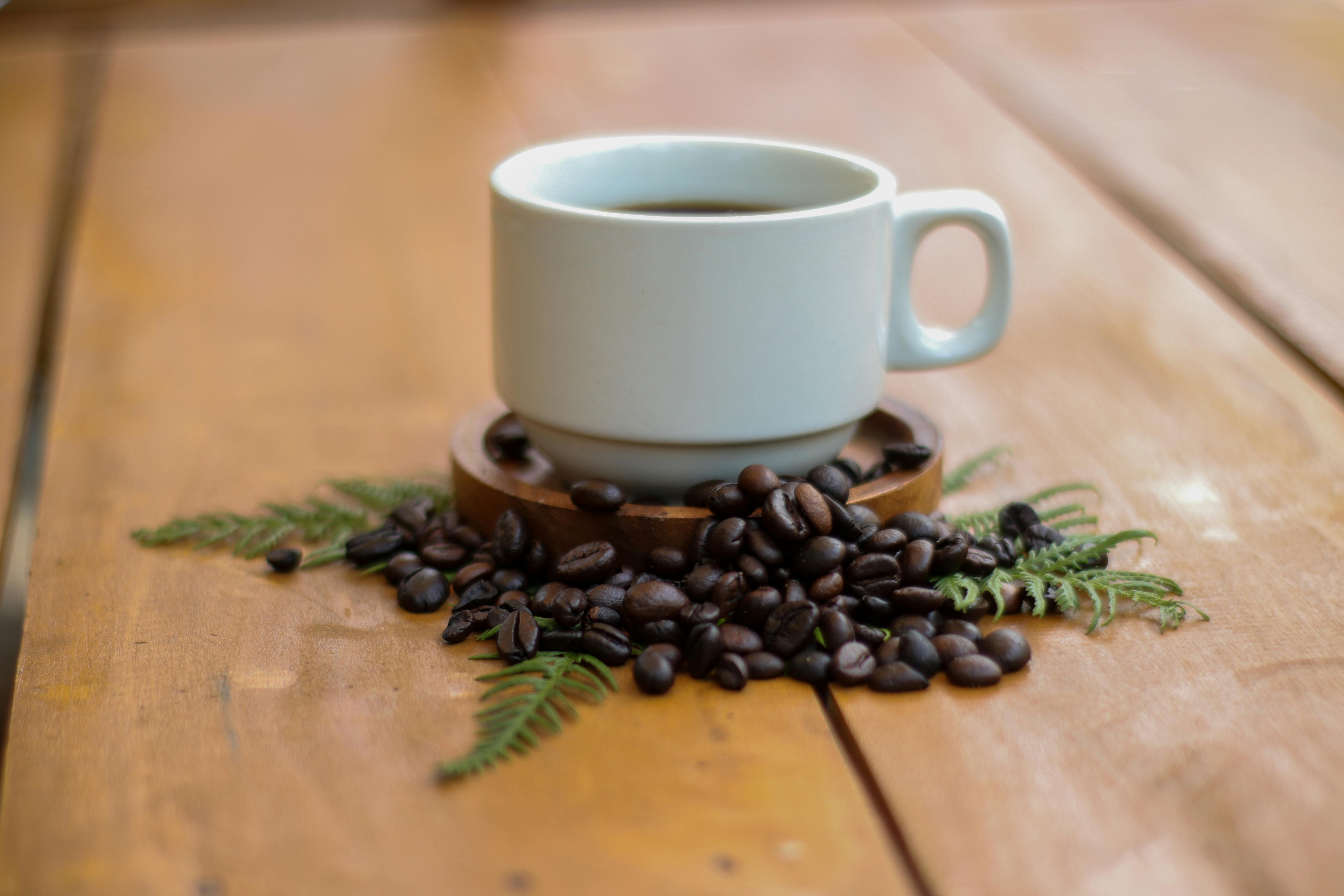 Photo of a White Cup Near Coffee Beans · Free Stock Photo