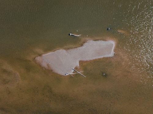 Free Aerial photo of a sandy shoreline and driftwood in shallow water. Stock Photo