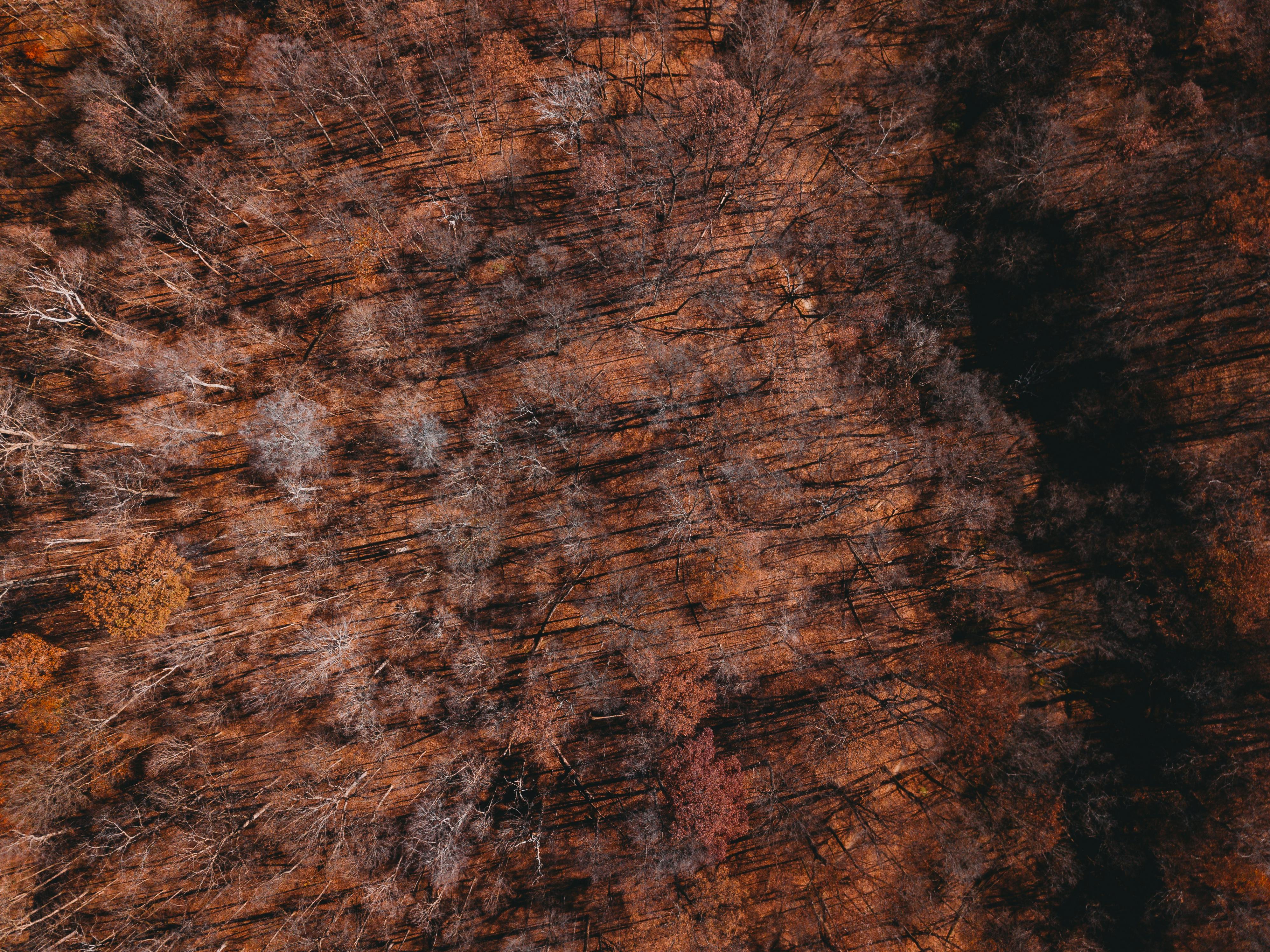 Gratis stockfoto met aardetinten, aardsgezind, antenne Stockfoto