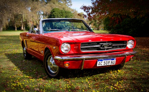 Photo of a Red Ford Mustang Car