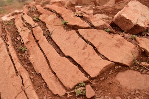 Free stock photo of bed of rocks, close up, marco