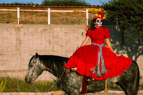 Foto profissional grátis de andar a cavalo, animal, catrina