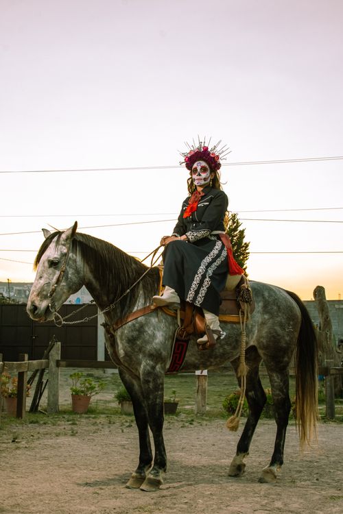 Free Woman in Day of the Dead costume riding a horse, celebrating Mexican culture. Stock Photo