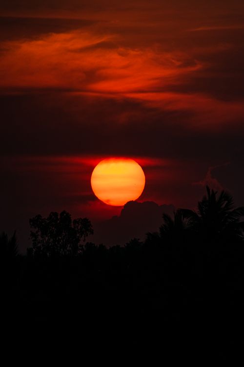 Free Breathtaking sunset with silhouetted trees, vibrant red sun, and dramatic clouds. Stock Photo