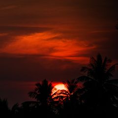 Driftwood album artwork: palms against a burning sunset — photo by Deepak Ramesha on Pexels