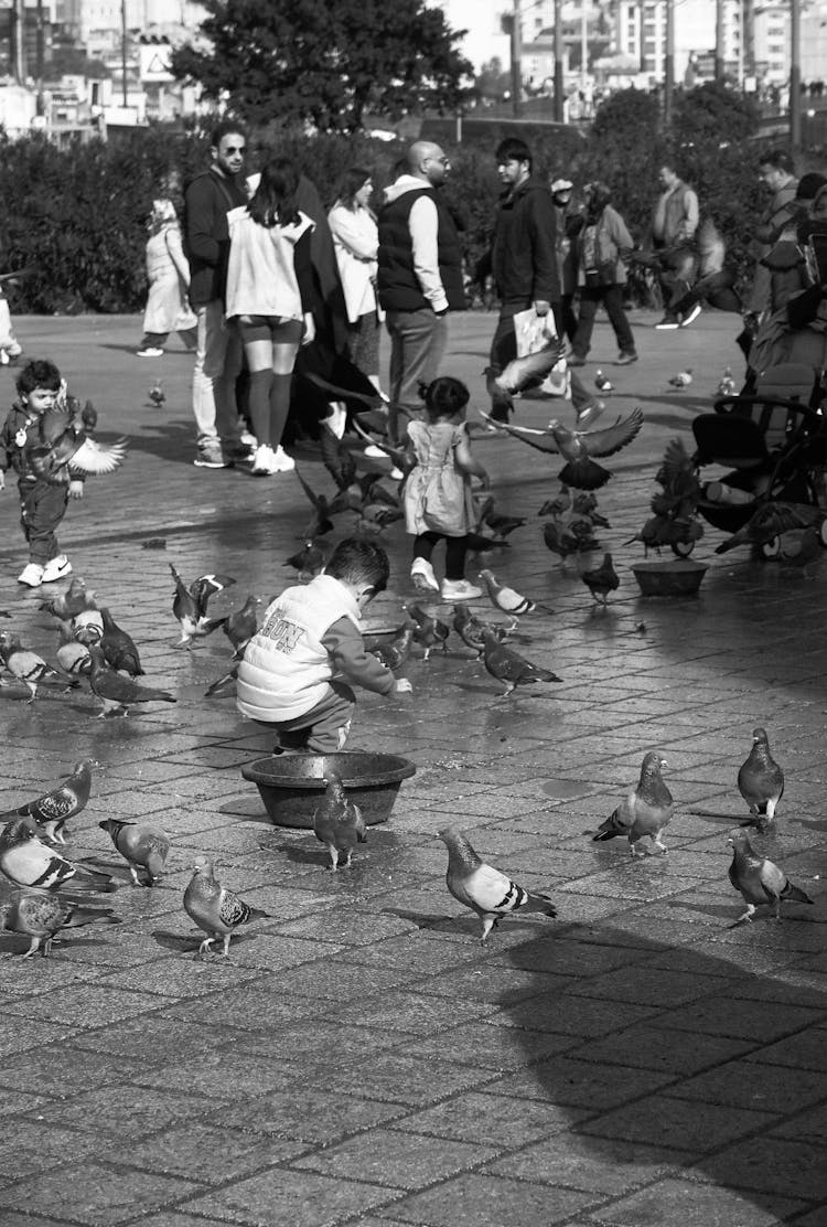 Grayscale Photo Of Kids Feeding Birds