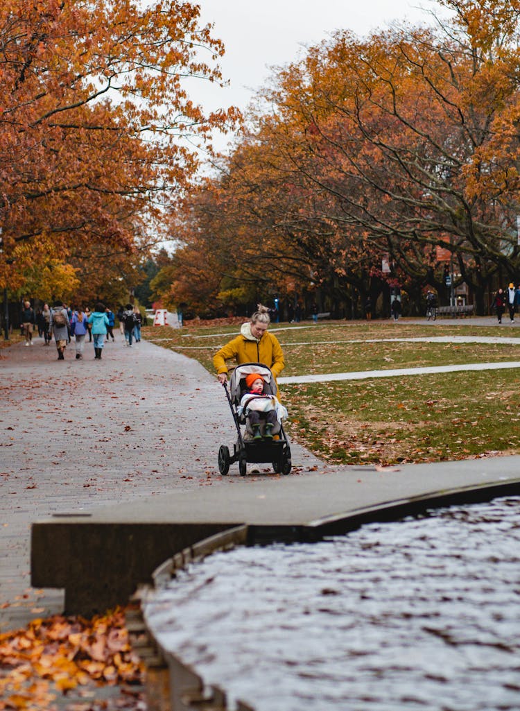 Mother Pushing A Baby Stroller