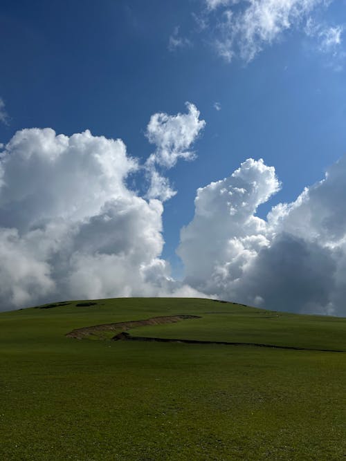 垂直ショット, 曇り, 自然写真の無料の写真素材