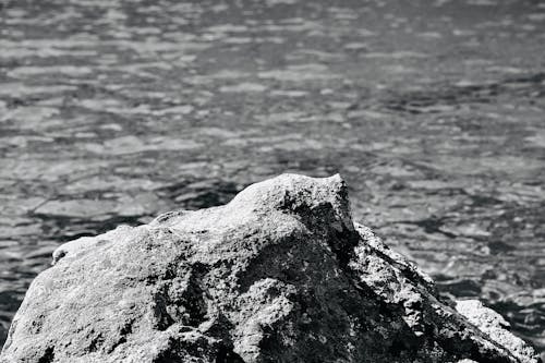 Black and White Photograph of a Rock