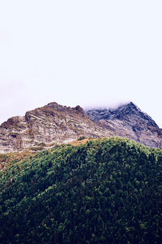 A dramatic view of a mountain peak rising above a lush green forest, partially hidden by clouds.