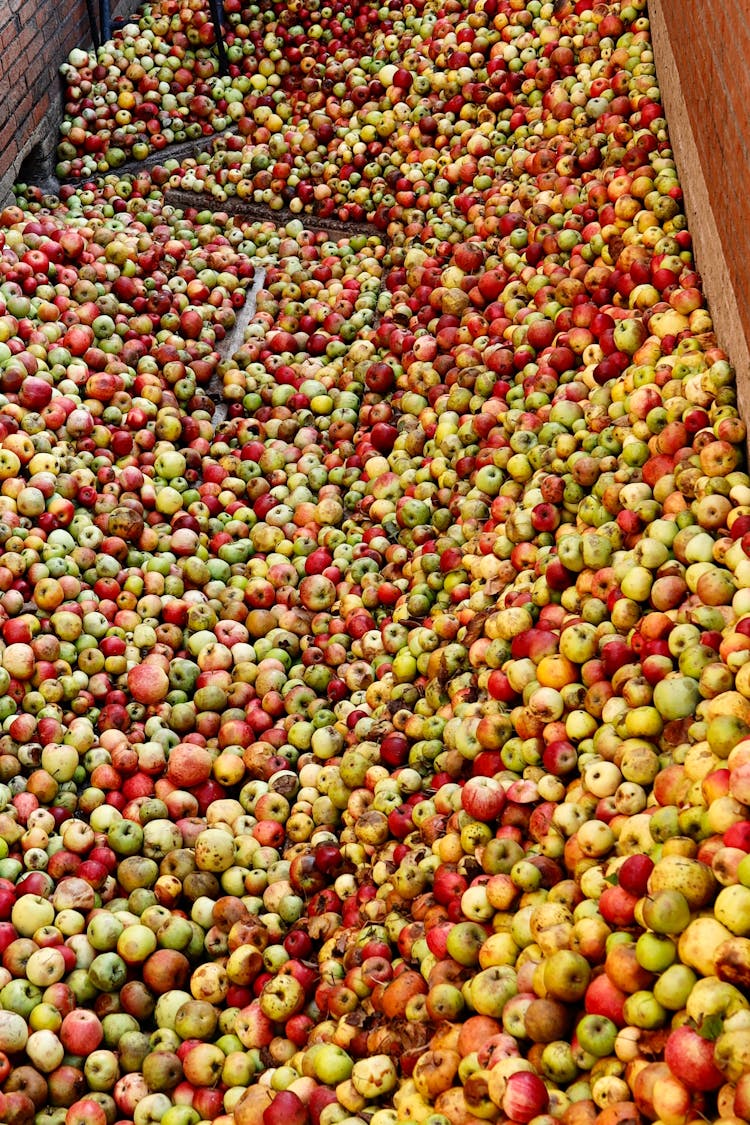 Photograph Of A Pile Of Apples