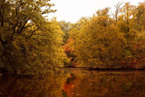 Free Serene autumn landscape with colorful trees reflecting on a calm lake in Raesfeld, Germany. Stock Photo