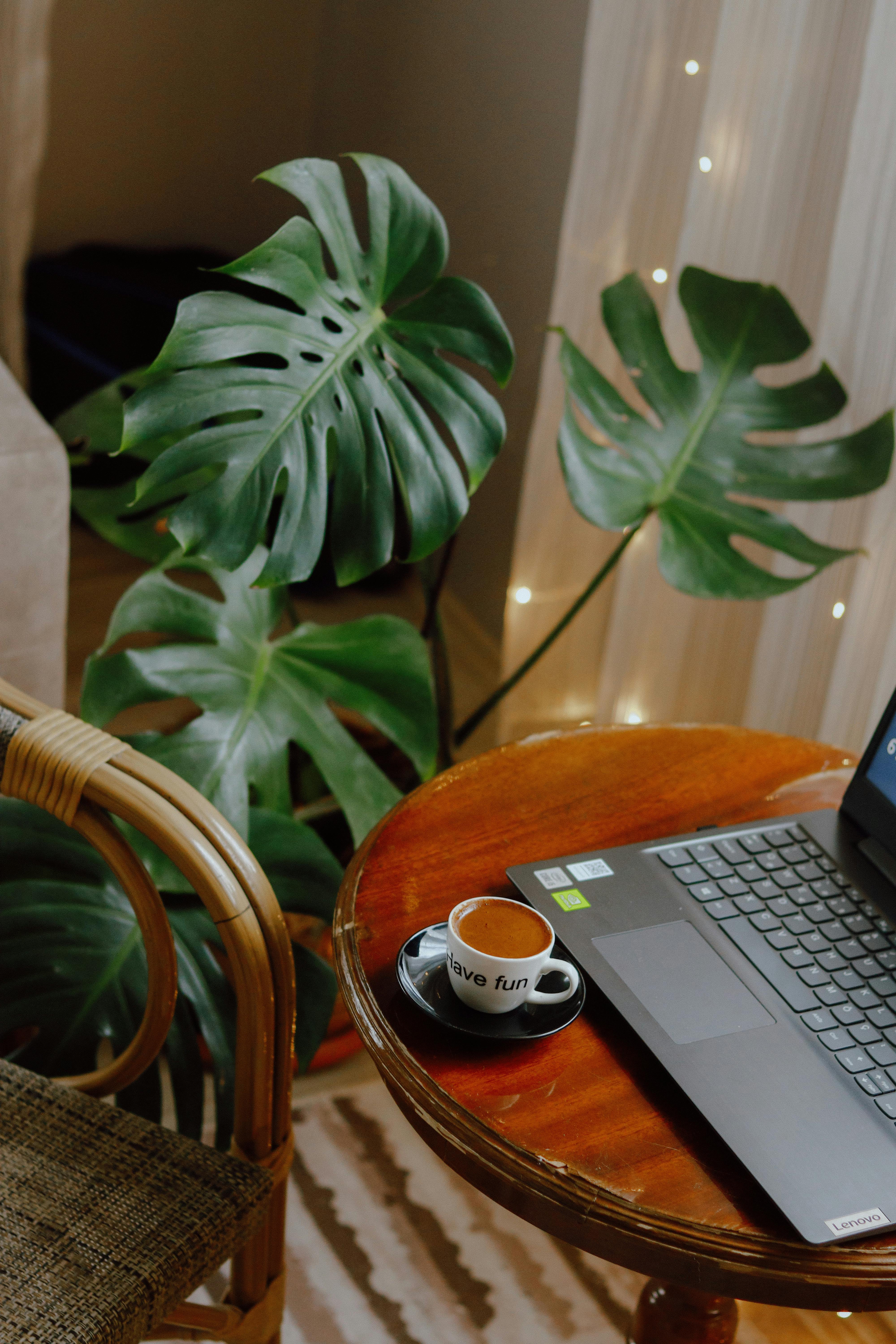A cozy home office setup featuring a laptop, coffee cup, and lush Monstera plant on a wooden table.