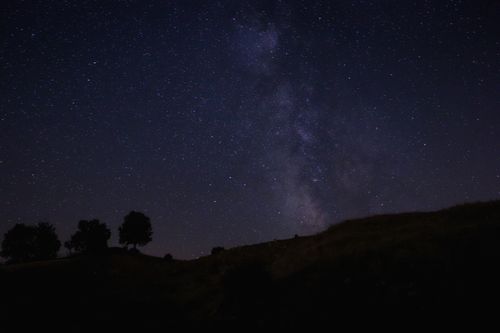 Free A breathtaking view of a starry night sky with silhouetted trees in the foreground. Stock Photo