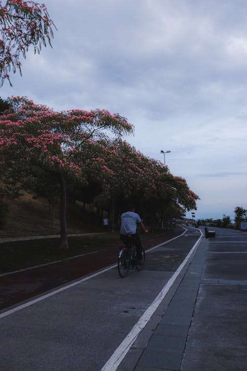 Man Riding a  Bike on the Sidewalk
