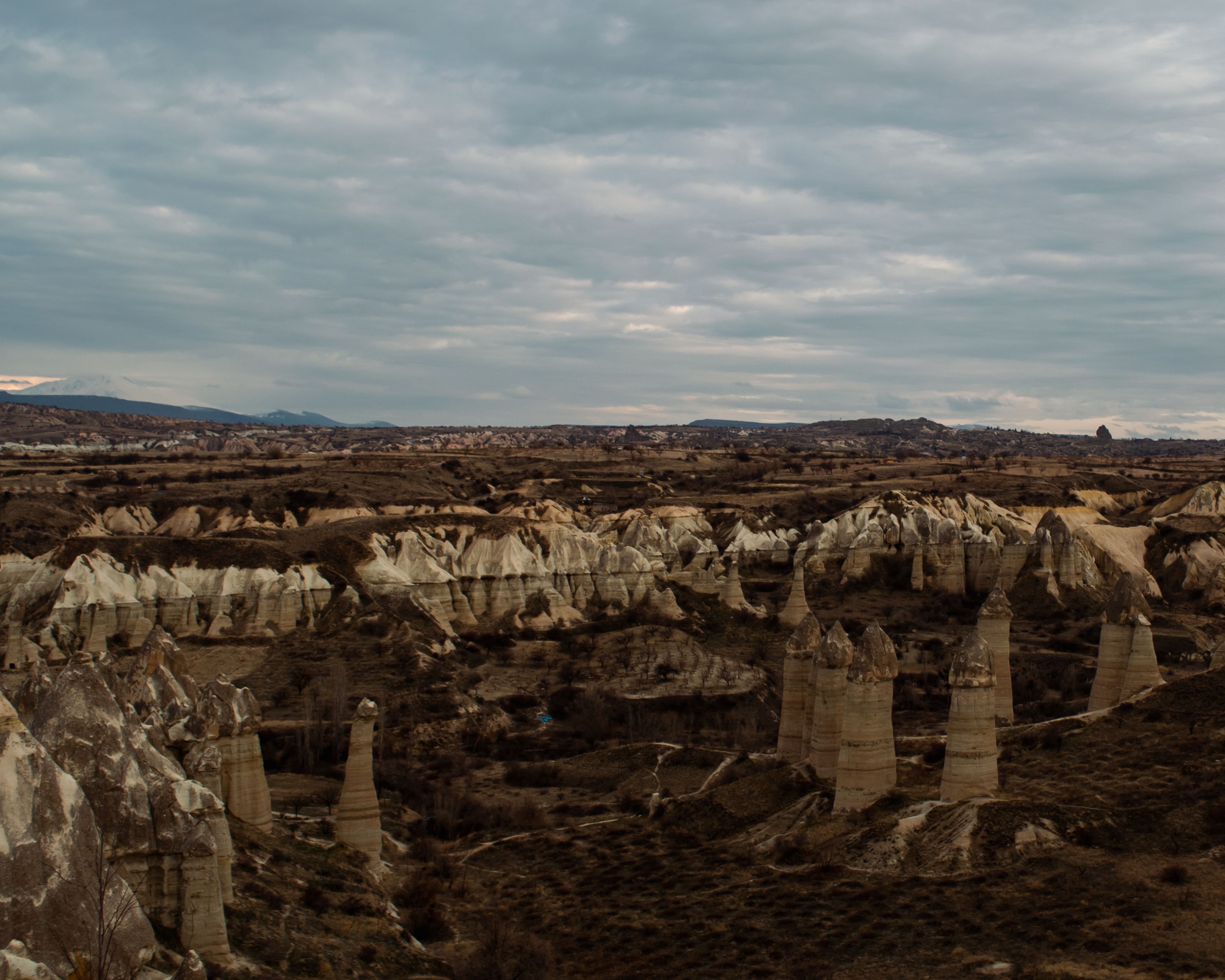 Fantasy RV Tours Featured on Discovery Channel TV Series — Photo by Buğra on Pexels