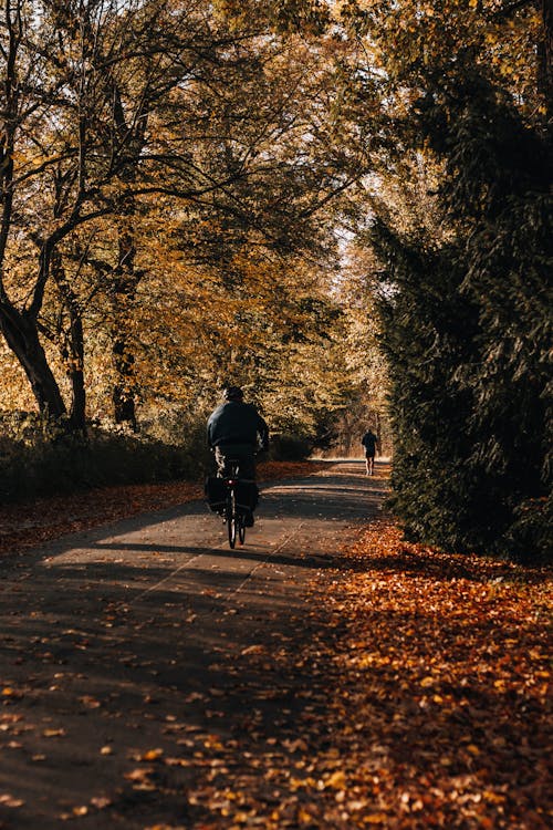 Man Riding a Bicycle on the Street