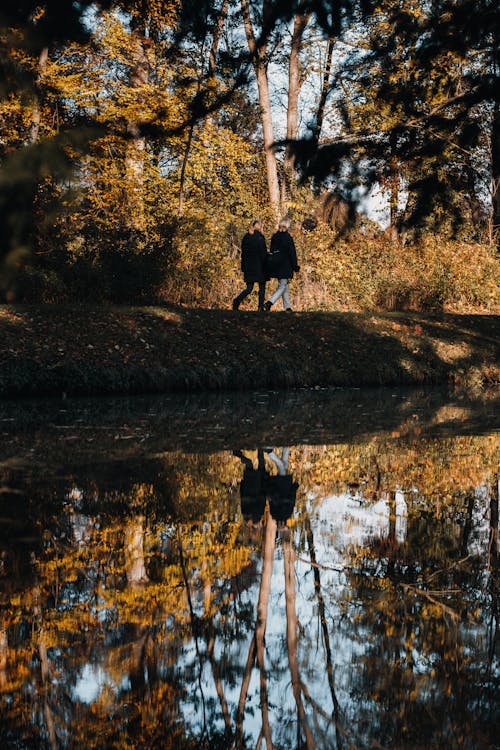 Symmetrical Image of People Walking in a Park and Reflecting in a Pond