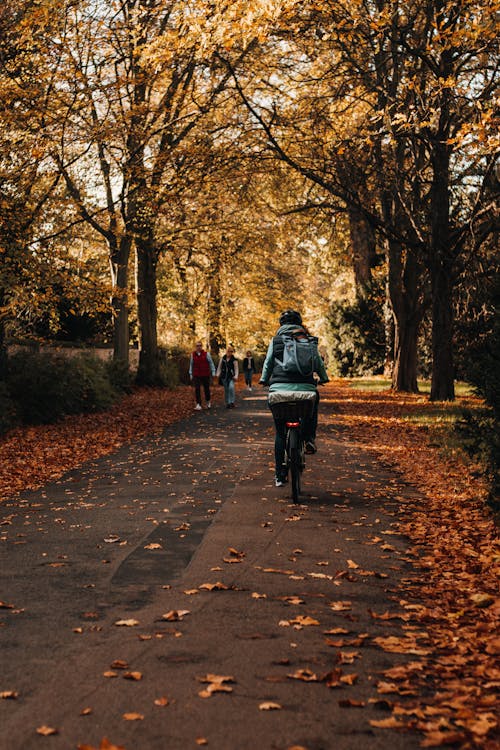 Man and Woman Riding Bicycle on Road