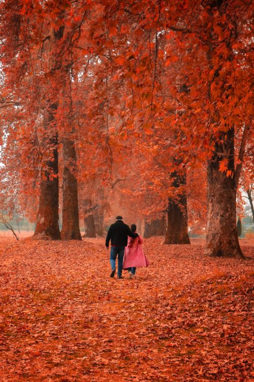 People Walking Through Autumn Leaves Free Stock Photo People Walking Through Autumn Leaves Free Stock Photo