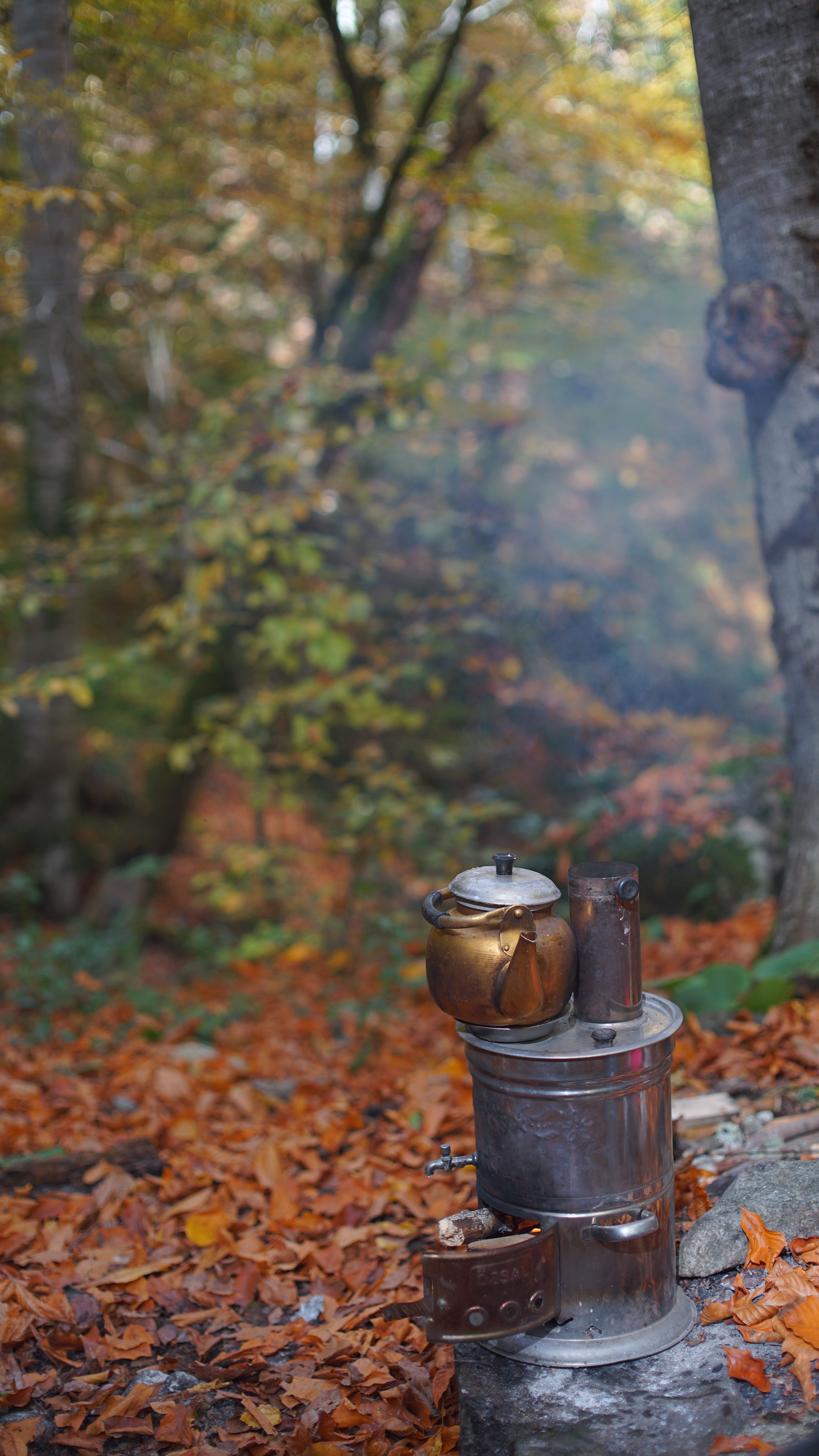 A steaming kettle amidst vibrant autumn foliage in Bolu, Turkey's serene forest.