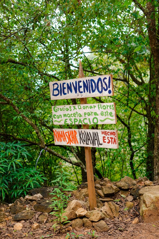 Nature Signage Photos, Download The BEST Free Nature Signage Stock ...
