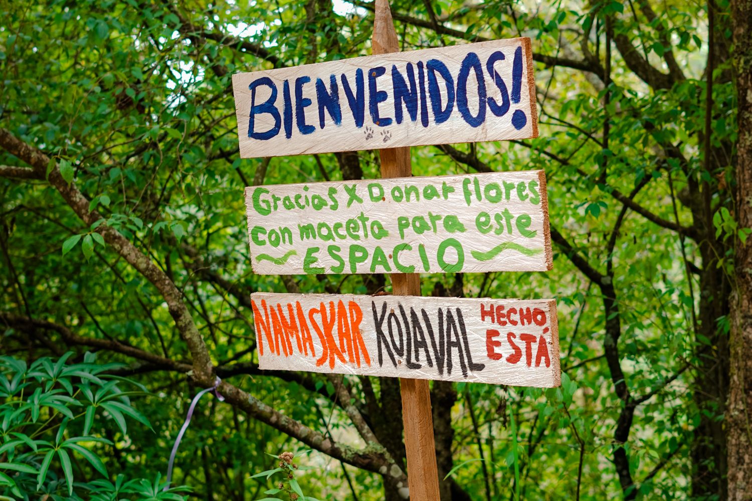 Open Sign Nature Nature Signage Photos, Download The BEST Free Nature Signage Stock ...