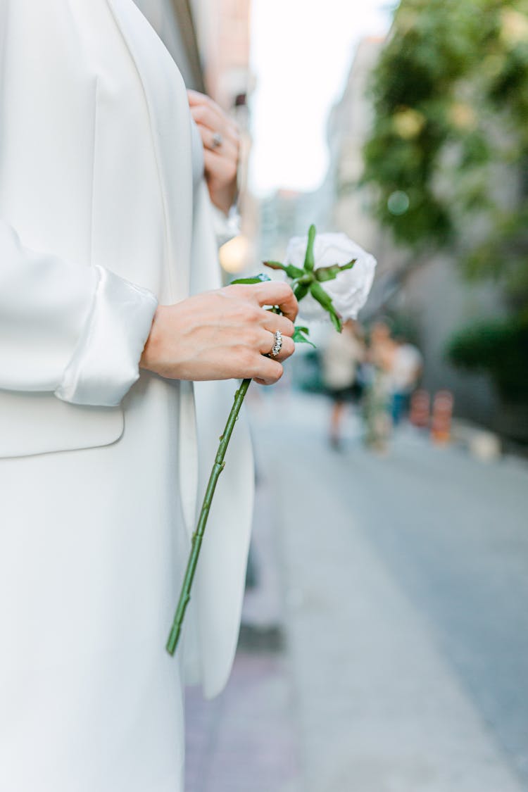 Close-up Of Woman In Suit Holding Flower 