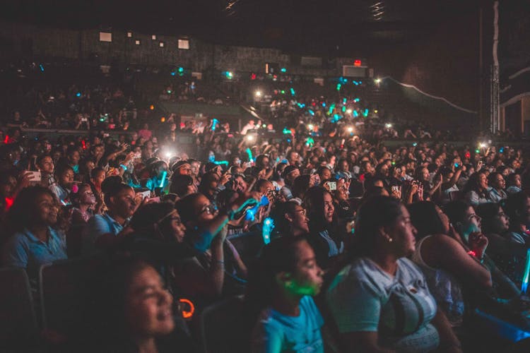 Crowd At A Concert 