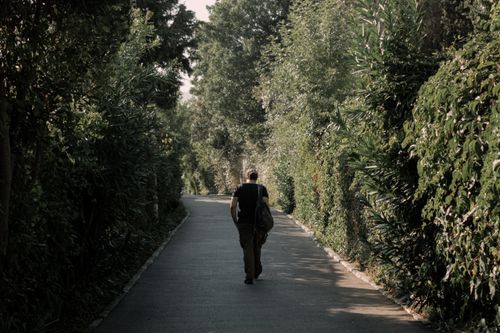Free A solitary person walks along a tree-lined path on Heybeliada, capturing a serene moment. Stock Photo