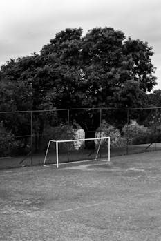 Black and white image of an empty outdoor soccer field with a single goal post and trees in the background.