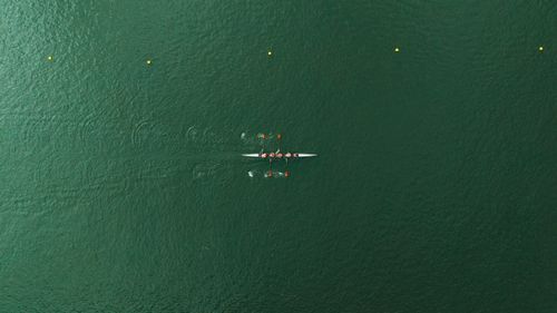 Free Aerial shot of a rowing team practicing on a green lake in daylight, showcasing outdoor sports. Stock Photo