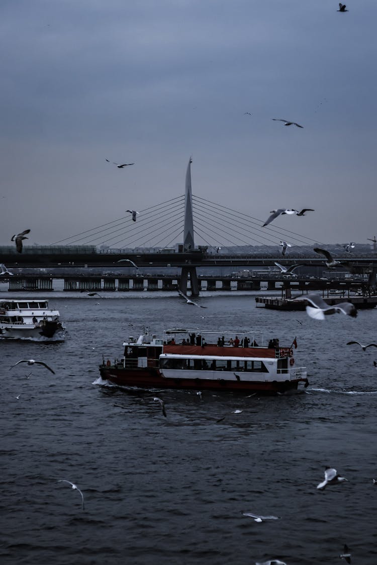 Urban Landscape With Bridge And Boats On The River