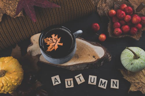 Autumn Still Life with a Coffee Cup on a Wood Slice Tray
